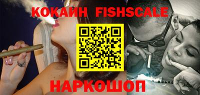 индика Гусь-Хрустальный