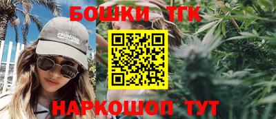 индика Гусь-Хрустальный