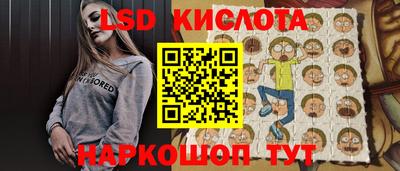 индика Гусь-Хрустальный