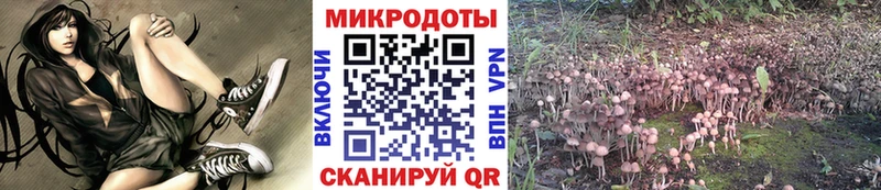 Галлюциногенные грибы Cubensis  Таганрог 