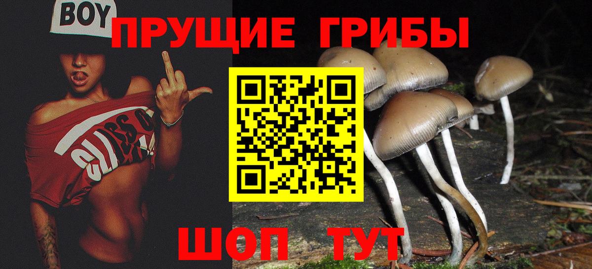 Галлюциногенные грибы мухоморы Таганрог