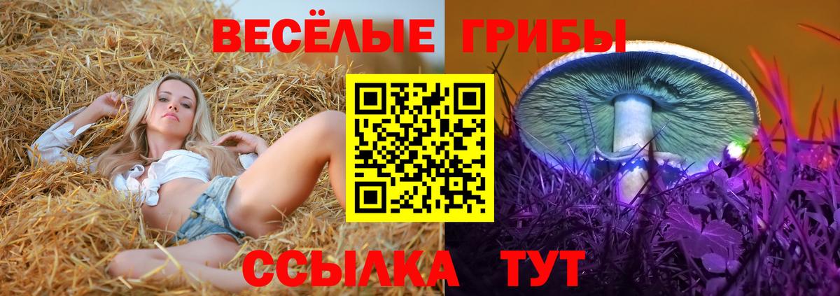 Codein Таганрог