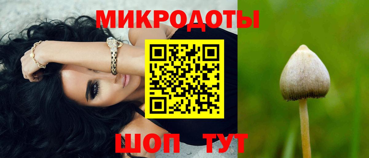 Галлюциногенные грибы MAGIC MUSHROOMS  Вход с VPN  Таганрог  Галлюциногенные грибы Cubensis 